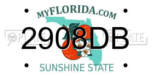 2908DB Florida License Plate