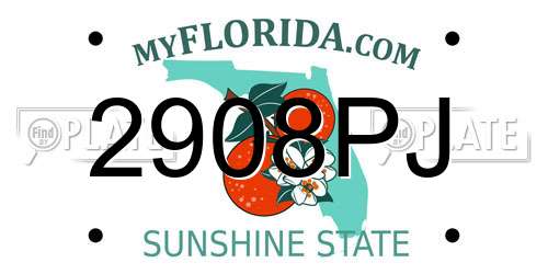 2908PJ Florida License Plate