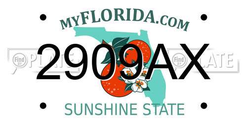 2909AX Florida License Plate