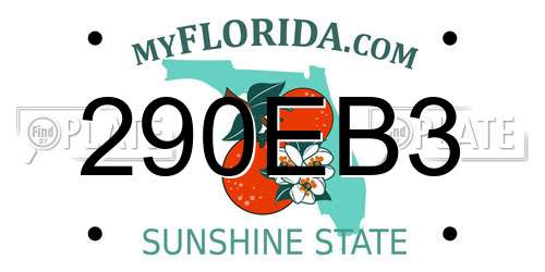 290EB3 Florida License Plate