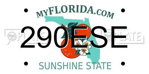 290ESE Florida License Plate