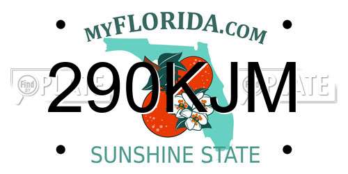 290KJM Florida License Plate