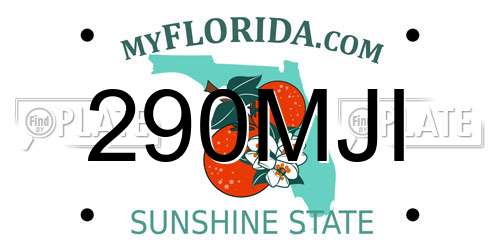 290MJI Florida License Plate