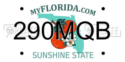 290MQB Florida License Plate