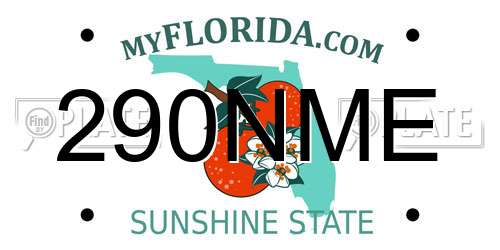 290NME Florida License Plate