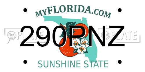 290PNZ Florida License Plate