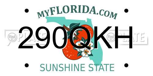 290QKH Florida License Plate