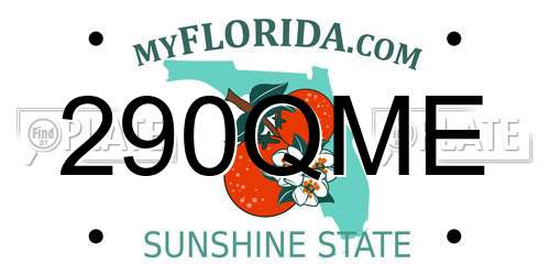 290QME Florida License Plate
