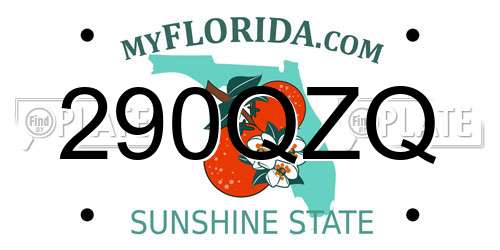 290QZQ Florida License Plate