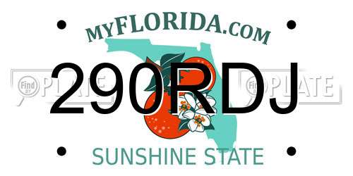 290RDJ Florida License Plate