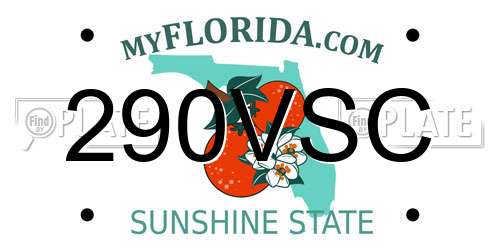 290VSC Florida License Plate