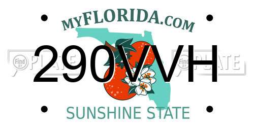 290VVH Florida License Plate
