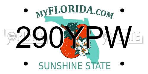 290YPW Florida License Plate