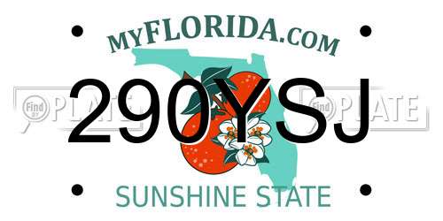 290YSJ Florida License Plate