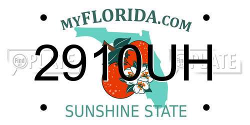 2910UH Florida License Plate