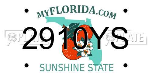 2910YS Florida License Plate