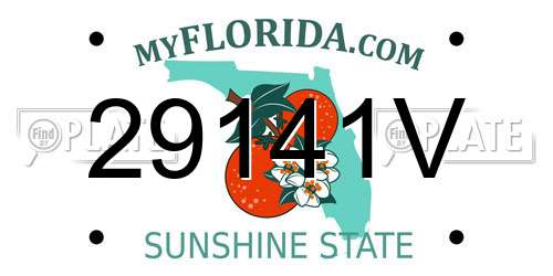 29141V Florida License Plate