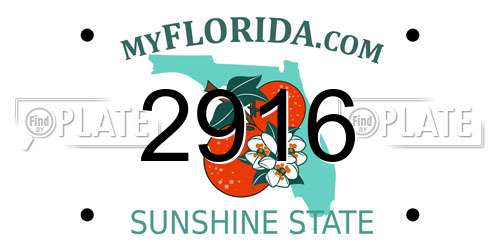 2916 Florida License Plate