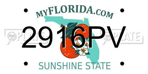 2916PV Florida License Plate