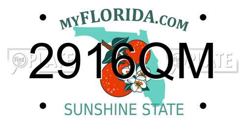 2916QM Florida License Plate