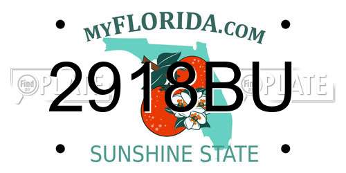 2918BU Florida License Plate