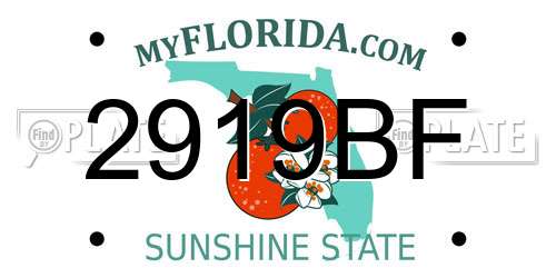 2919BF Florida License Plate