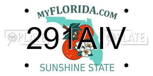 291AIV Florida License Plate