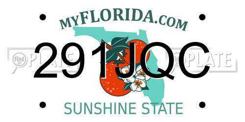291JQC Florida License Plate