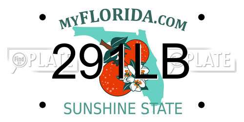 291LB Florida License Plate