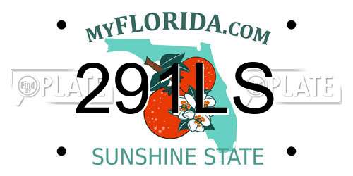 291LS Florida License Plate
