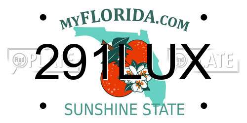 291LUX Florida License Plate