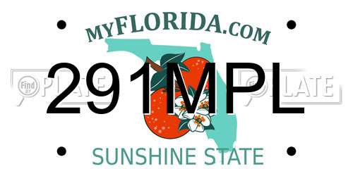 291MPL Florida License Plate