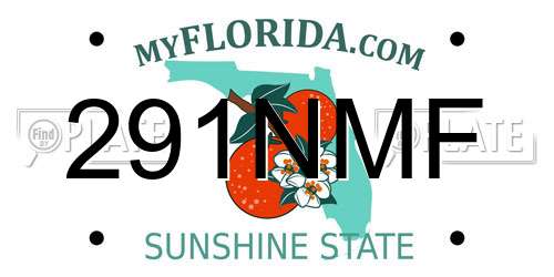 291NMF Florida License Plate