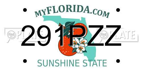 291PZZ Florida License Plate