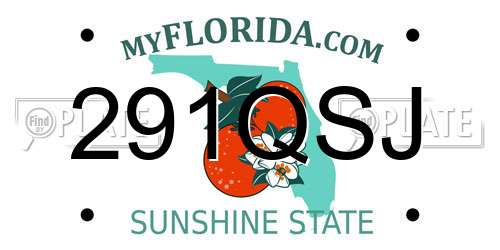 291QSJ Florida License Plate