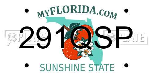 291QSP Florida License Plate