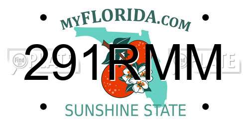 291RMM Florida License Plate