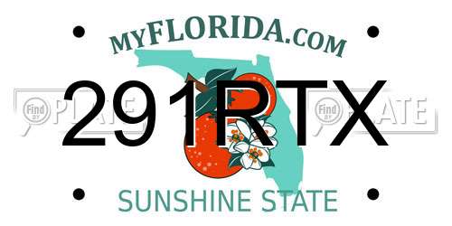291RTX Florida License Plate