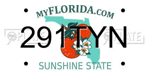 291TYN Florida License Plate