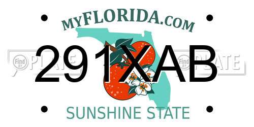 291XAB Florida License Plate