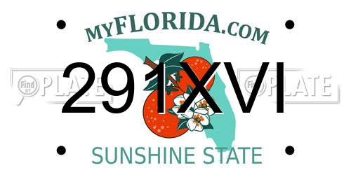 291XVI Florida License Plate