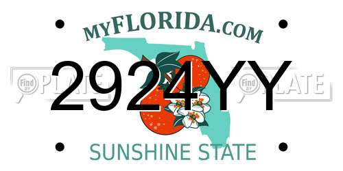2924YY Florida License Plate
