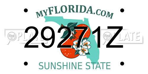 29271Z Florida License Plate