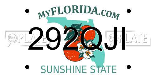292QJI Florida License Plate