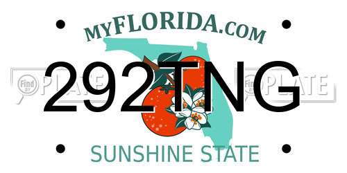 292TNG Florida License Plate