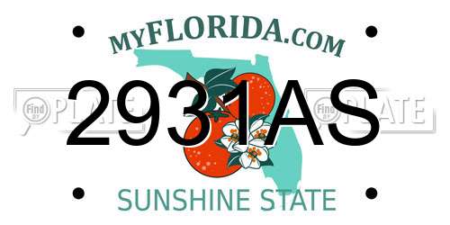 2931AS Florida License Plate
