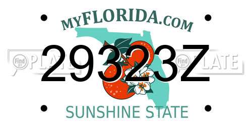 29323Z Florida License Plate