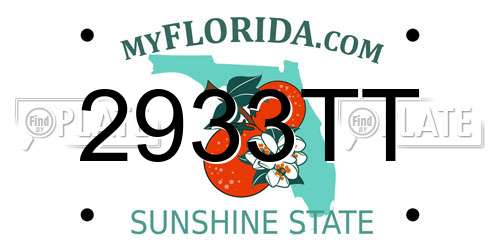 2933TT Florida License Plate