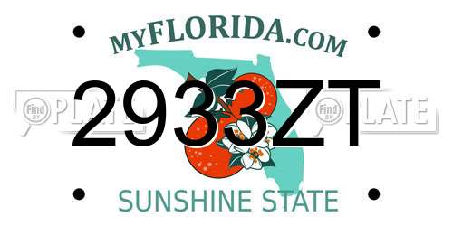 2933ZT Florida License Plate