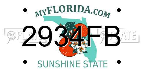2934FB Florida License Plate